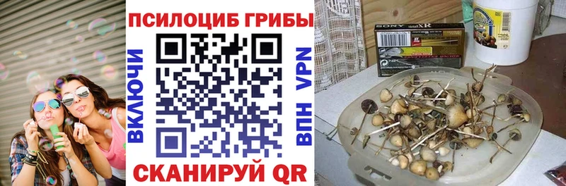 Псилоцибиновые грибы прущие грибы Андреаполь