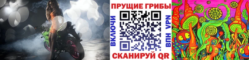 OMG как войти  Андреаполь  Галлюциногенные грибы GOLDEN TEACHER 