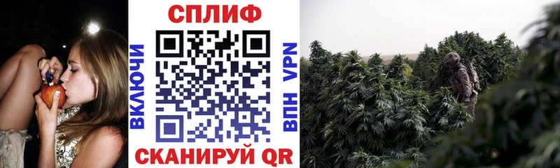 Шишки марихуана THC 21%  закладка  Андреаполь 